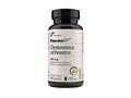 Pharmovit Gymnema Sylvestre 360 mg Ekstrakt standaryzowany 25% kwasu gymnemowego interakcje ulotka kapsułki  90 kaps.