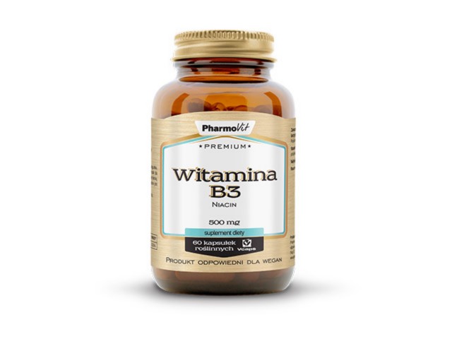 Witamina B3 Niacyna 500 Mg Ulotka Dawkowanie