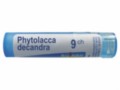Phytolacca Decandra 9 CH interakcje ulotka granulki  4 g
