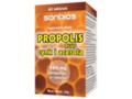 Propolis Plus Cynk I Acerola interakcje ulotka tabletki 500 mg 60 tabl.