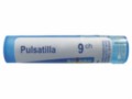 Pulsatilla 9 CH interakcje ulotka granulki  4 g