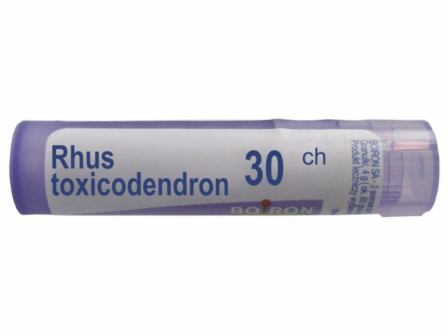 Rhus Toxicodendron 30 CH interakcje ulotka granulki  4 g