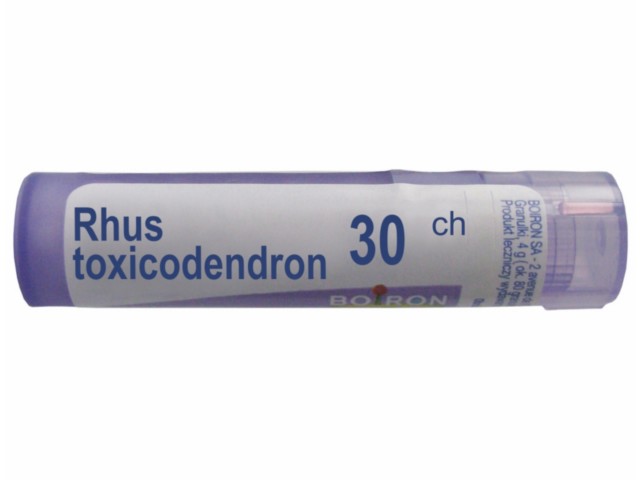 Rhus Toxicodendron 30 CH interakcje ulotka granulki - 4 g