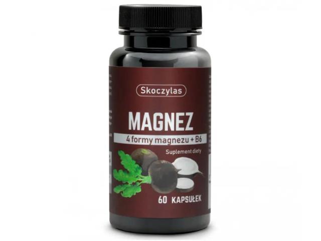 Skoczylas Magnez 4 Formy Magnezu + B6 z czarną rzepą interakcje ulotka kapsułki - 60 kaps. (słoik)