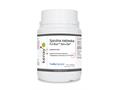 Spirulina niebieska Pur-Blue Spiru-Zan® interakcje ulotka tabletki  240 tabl.