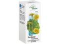 Succus Farfarae Phytopharm interakcje ulotka płyn doustny 2,425 g/2,5ml 100 ml