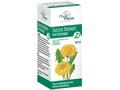 Succus Taraxaci Phytopharm interakcje ulotka płyn doustny 4,85 g/5ml 100 ml