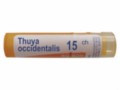 Thuya Occidentalis 15 CH interakcje ulotka granulki  4 g