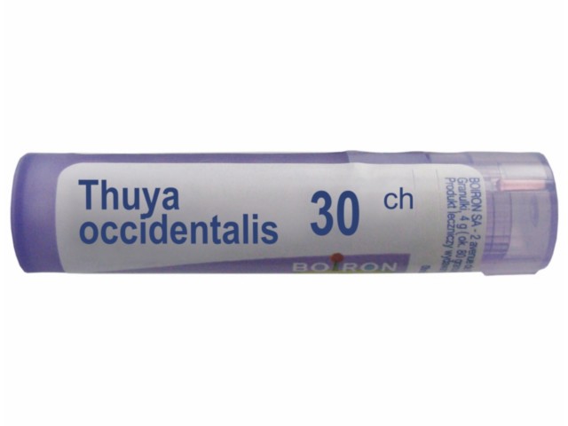 Thuya Occidentalis 30 CH interakcje ulotka granulki  4 g