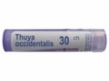 Thuya Occidentalis 30 CH interakcje ulotka granulki  4 g