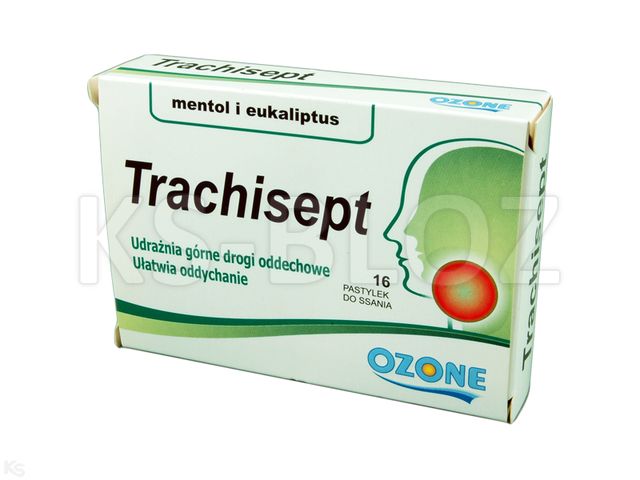 Trachisept mentol, eucaliptus interakcje ulotka pastylki do ssania - 16 pastyl.