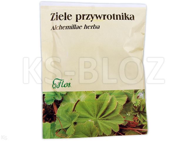 Ziele Przywrotnika interakcje ulotka zioła do zaparzania 1 g/g 50 g